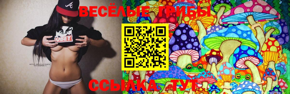 Рязань  Галлюциногенные грибы Psilocybe  Вход с VPN  Псилоцибиновые грибы MAGIC MUSHROOMS 